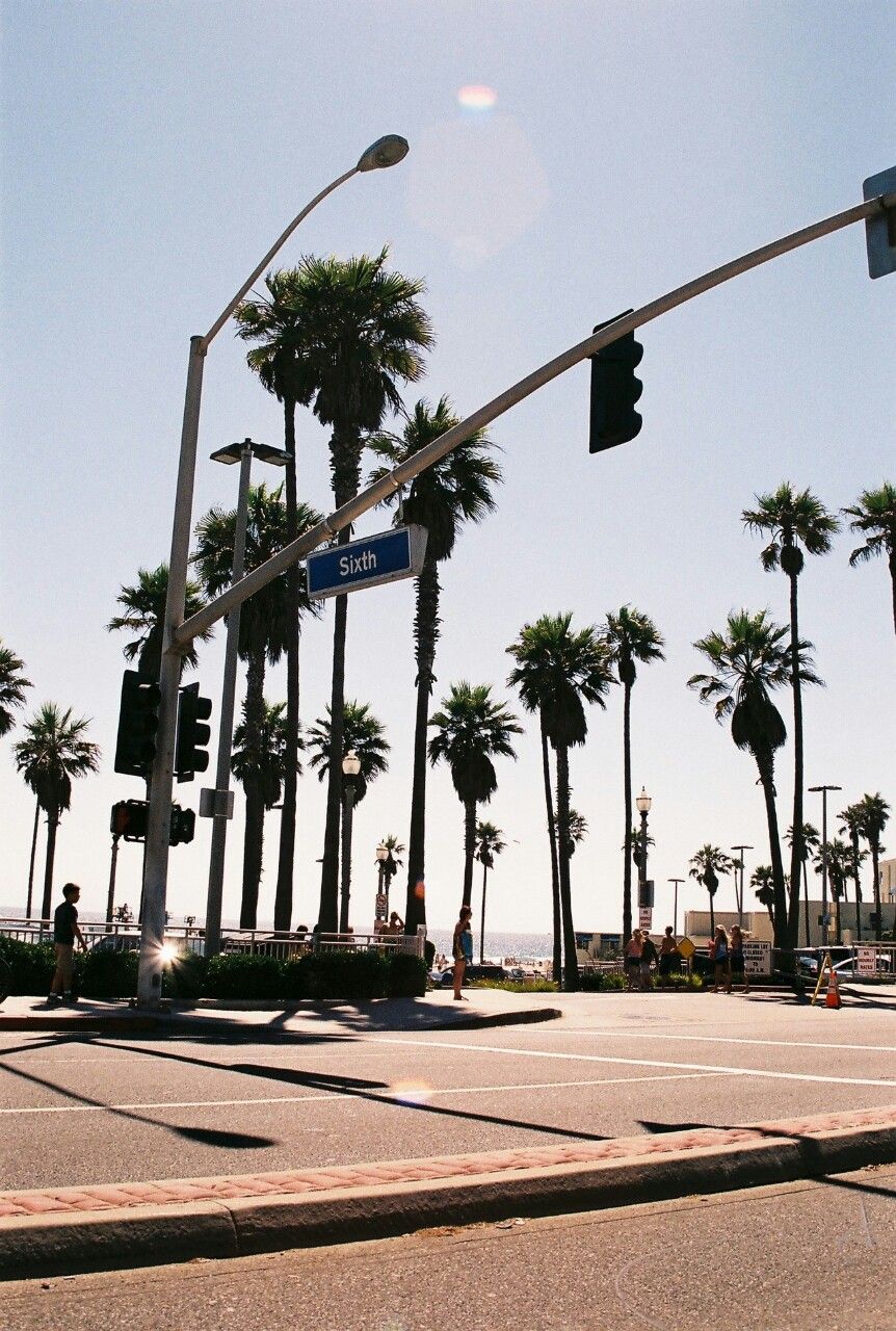 California venice beach tumblr palm tree iphone wallpaper travel photography