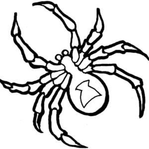 Spider coloring pages printable for free download