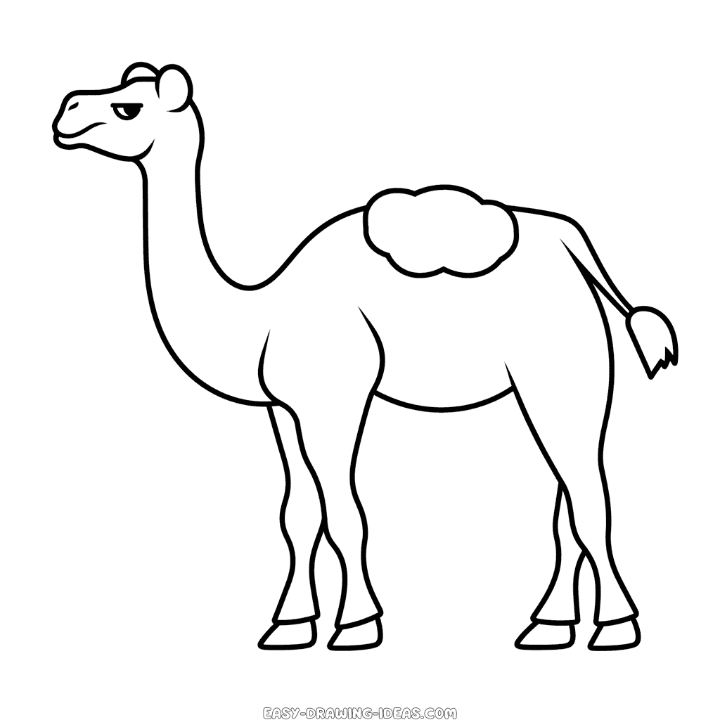 Camel easy drawing easy drawing ideas