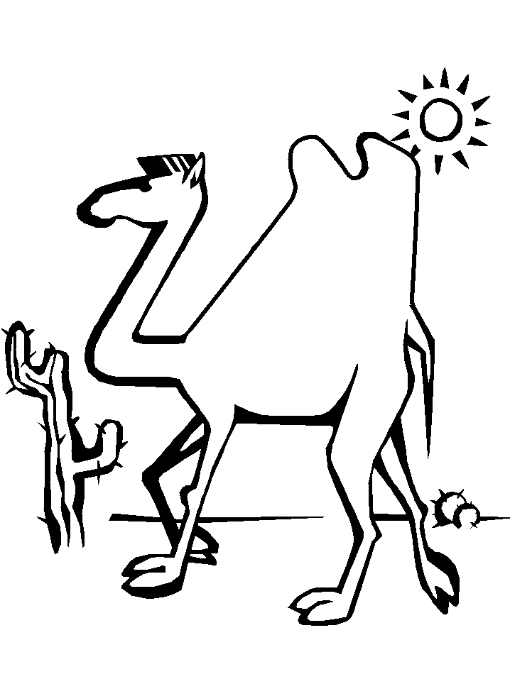 Coloring page camel animals â printable coloring pages