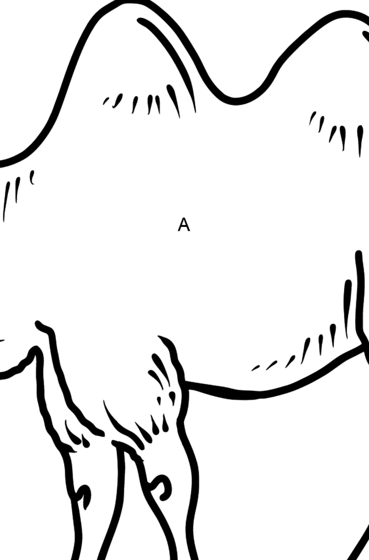 Camel coloring page â color online for free