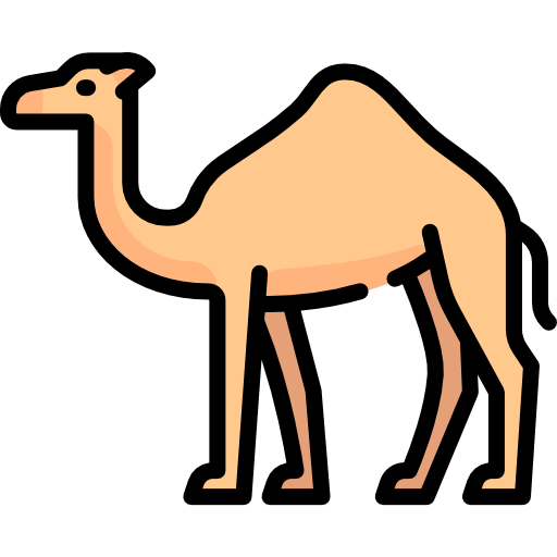 Camel special lineal color icon