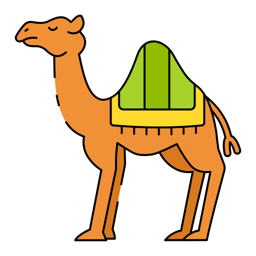 Camel