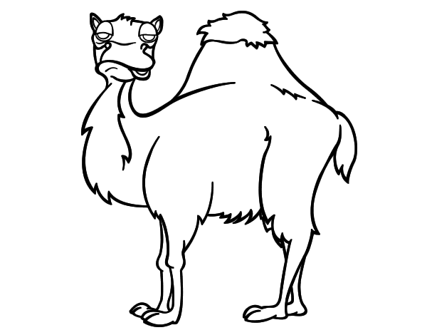 Camel boring coloring page