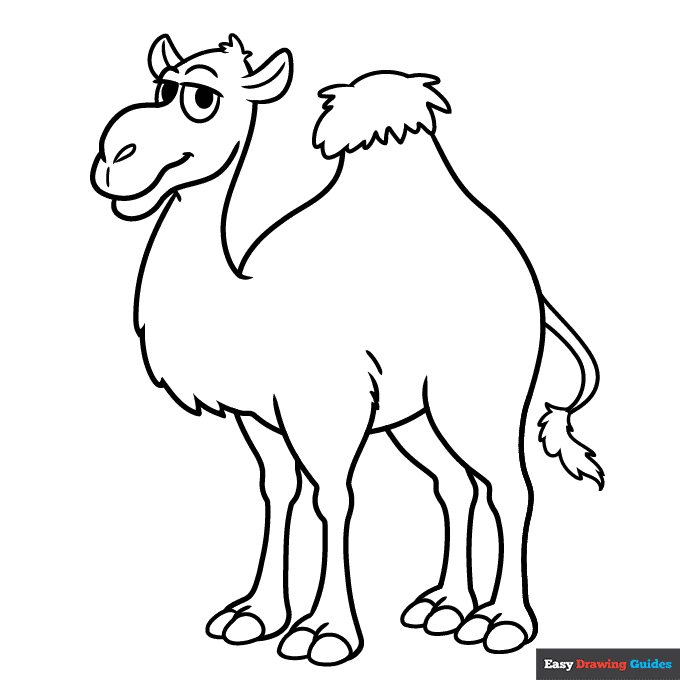 Cartoon camel coloring page easy drawing guides