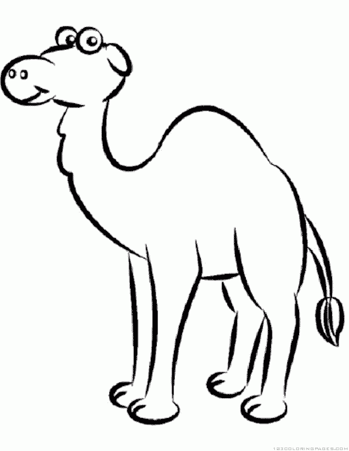 Coloring page dromedary animals â printable coloring pages