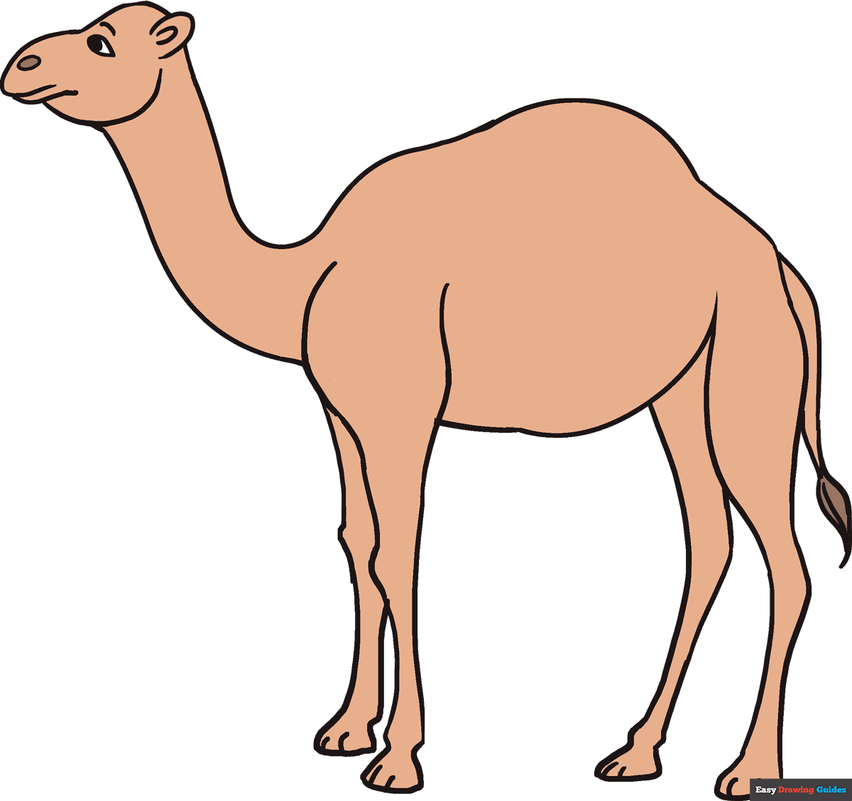 How to draw a camel