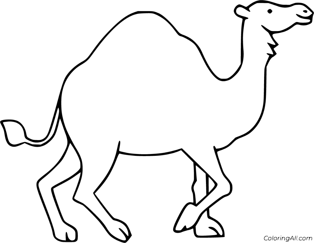 Free printable camel coloring pages in vector format easy to print from any device and automatically fit any paper size coloring pages camel animal camel