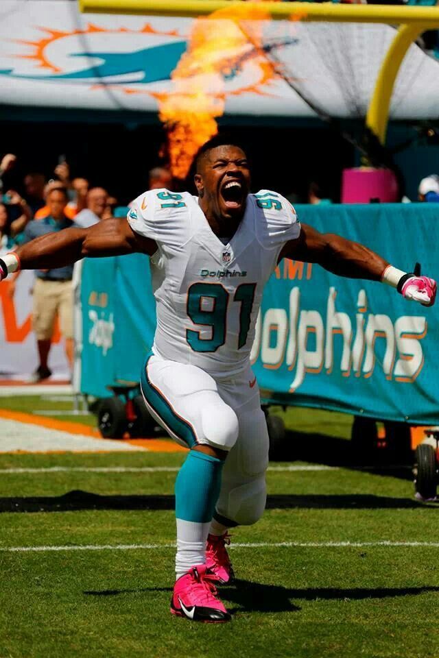 Best images about meron wake on miami dolphins