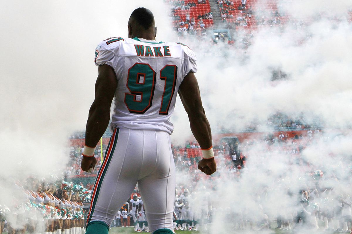 Dolphins roster breakdown cameron wake