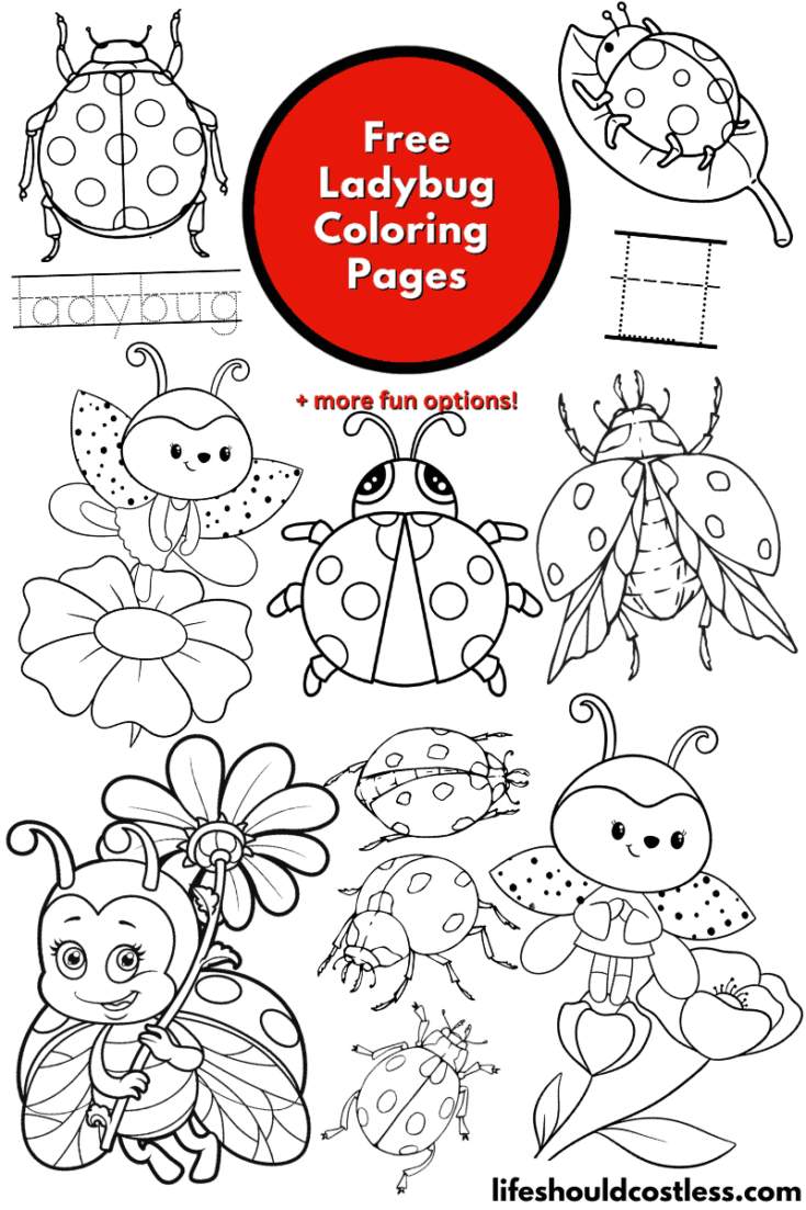 Ladybug coloring pages free printable pdf templates