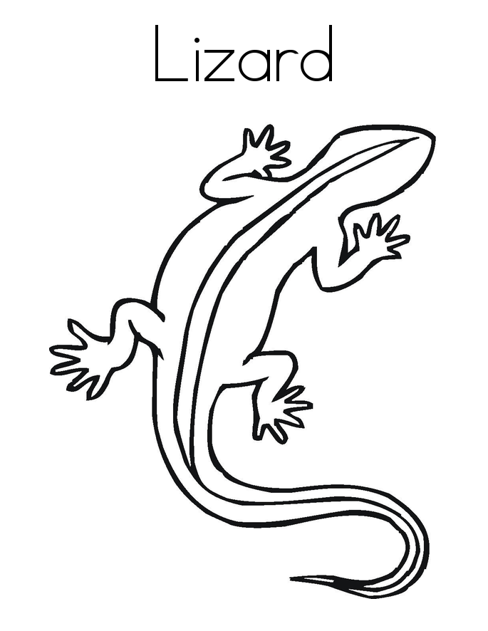 Free printable lizard coloring pages for kids