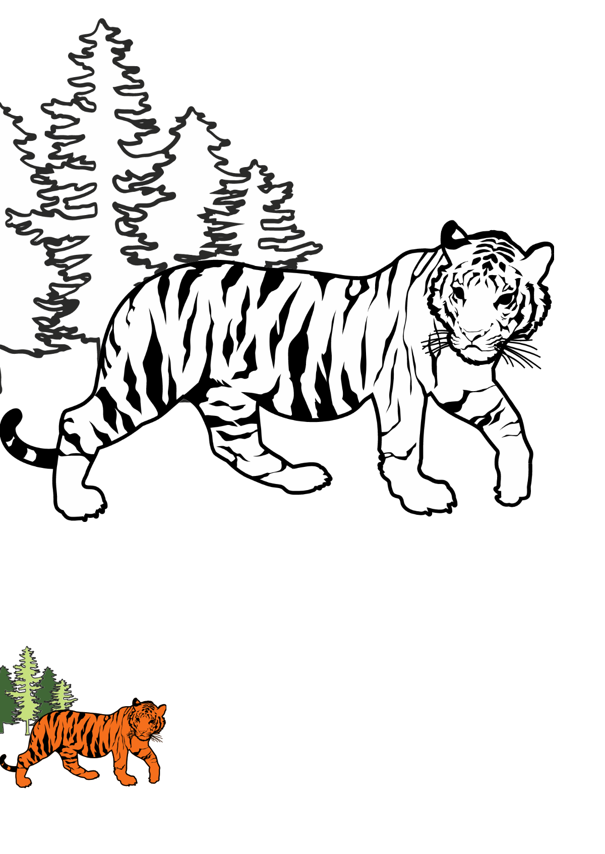 Free tiger coloring page s examples