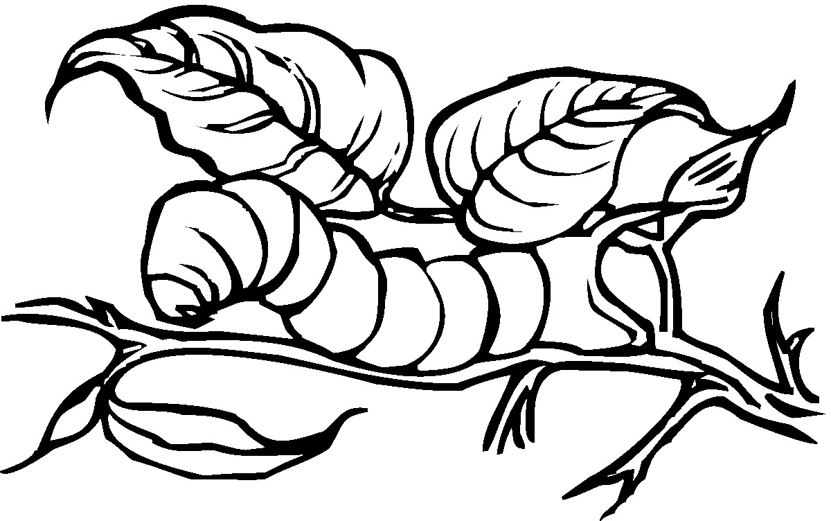 Worm to print coloring page