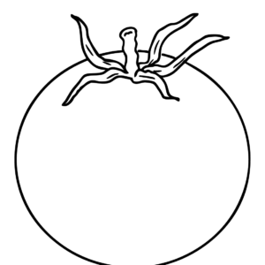 Tomato coloring pages printable for free download