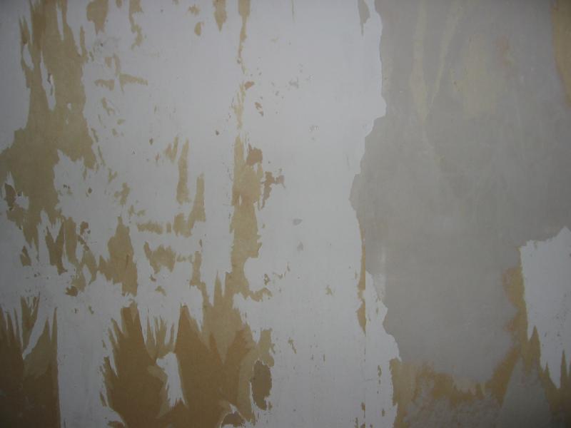 Download Free 100 + can you wallpaper plasterboard