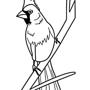 Cardinal coloring pages printable for free download