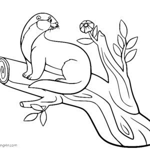 Otter coloring pages printable for free download