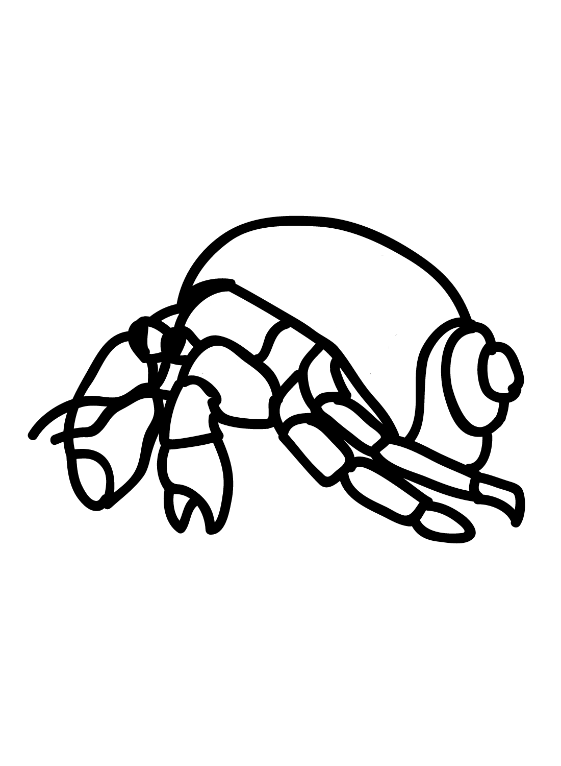 Hermit crab free coloring page