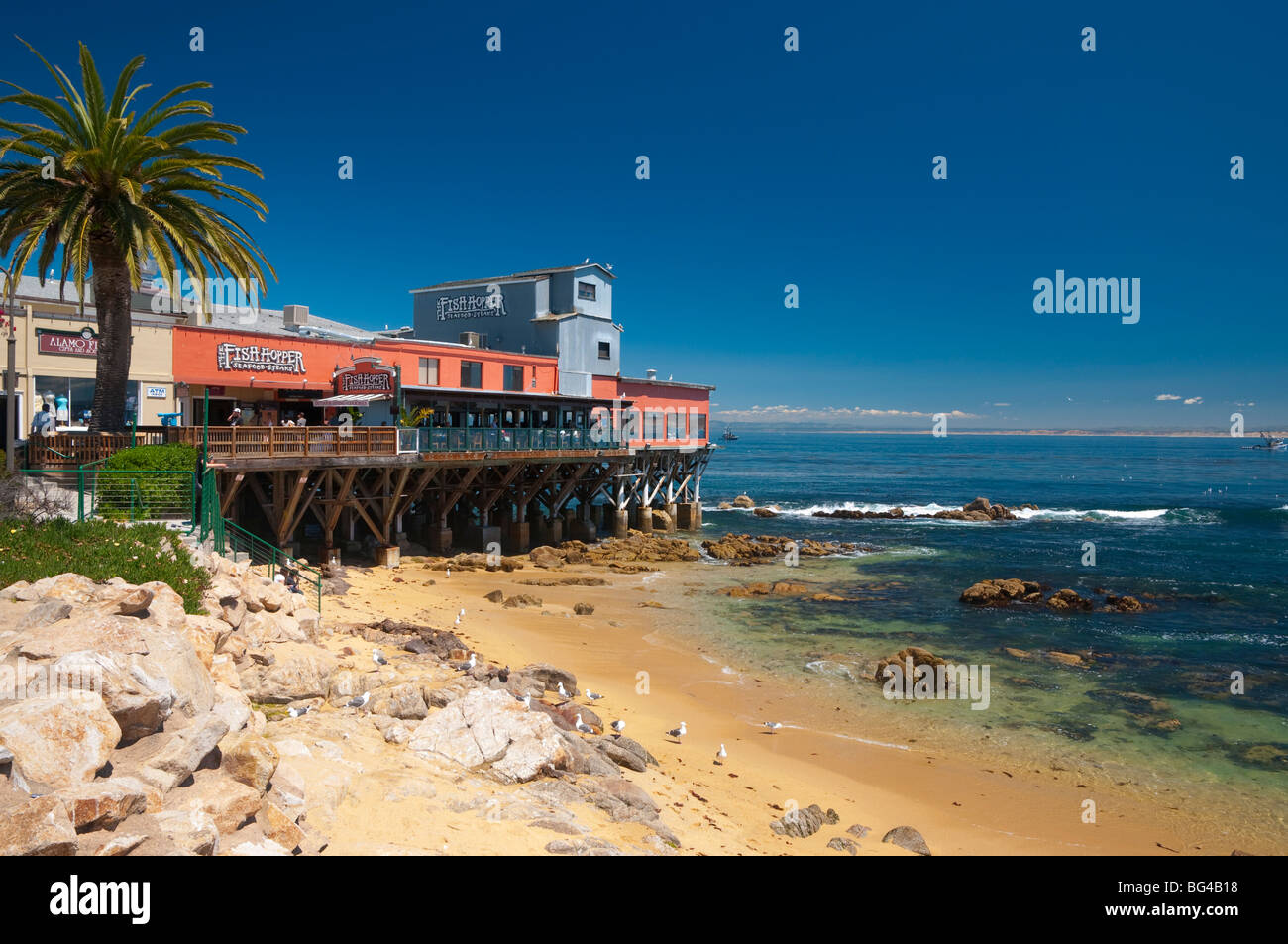 Cannery row hi