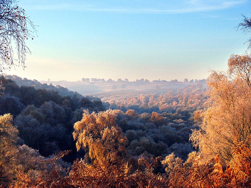 Frosty morning sherbrook valley cannock chase wallpaper background id