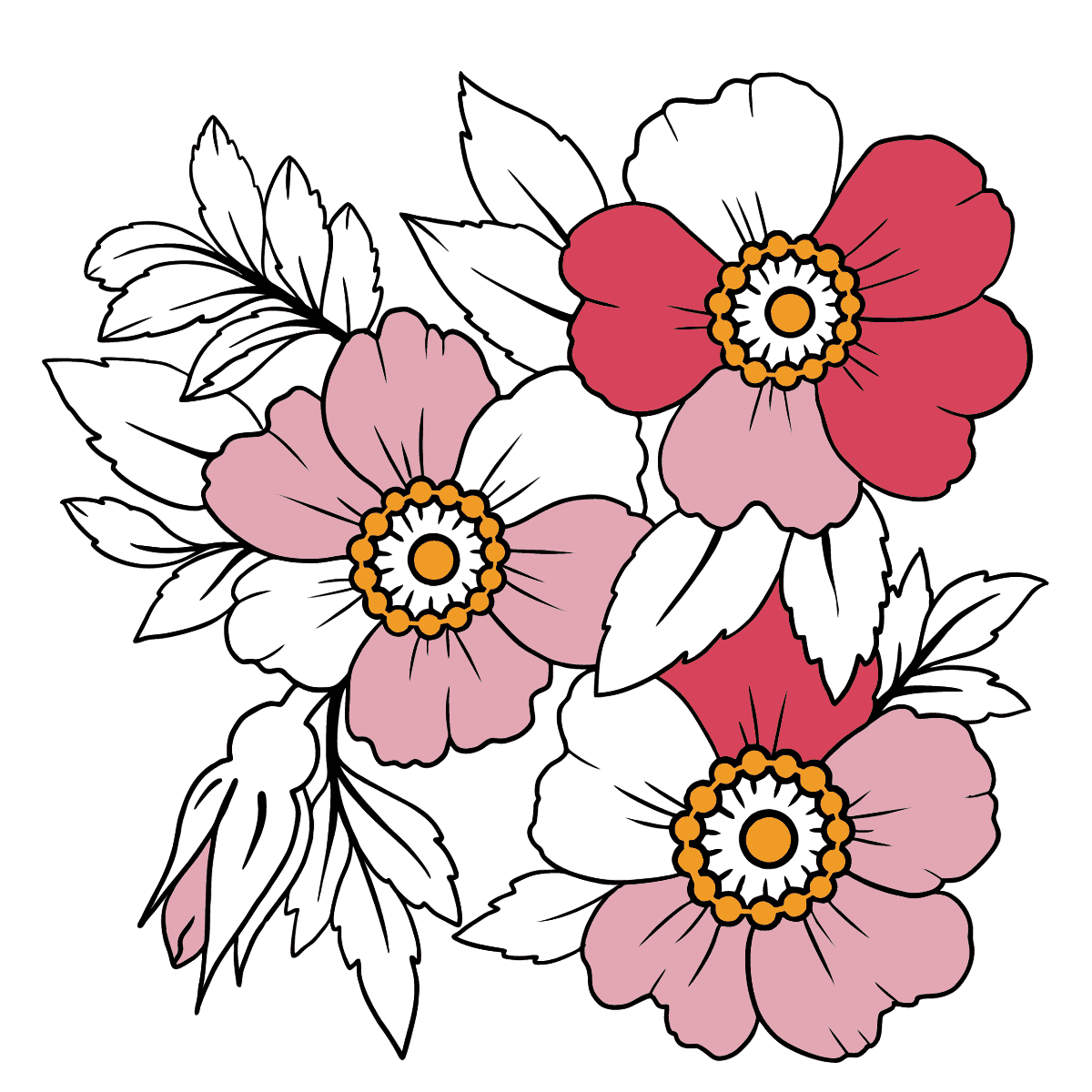 Desenho para colorir de anãªmona japonesa de veludo