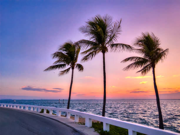 Captiva island sunrise stock photo