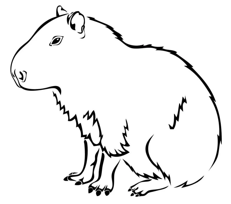 Capybara coloring pages