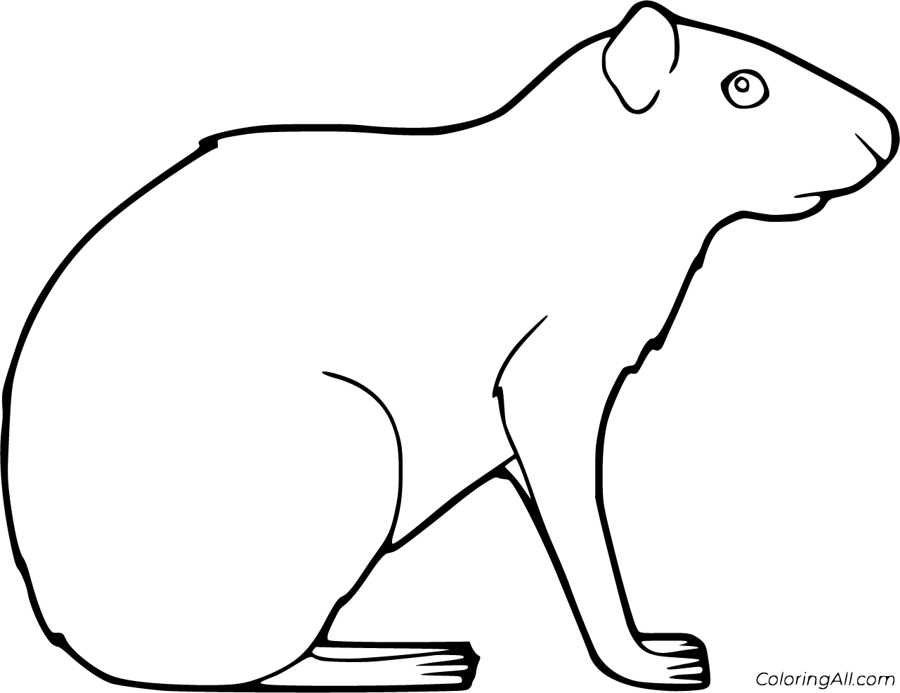 Agouti coloring pages