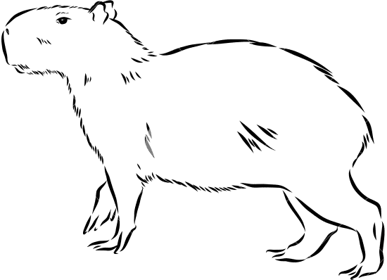 Capybara vector sketch