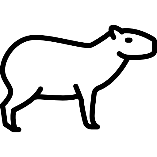 Capybara