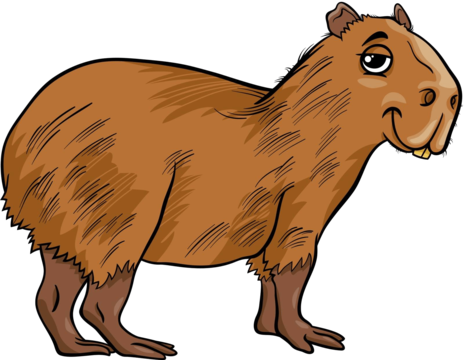 Funny capybara png transparent images free download vector files