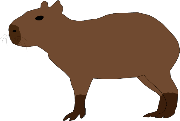 Capybara png transparent images