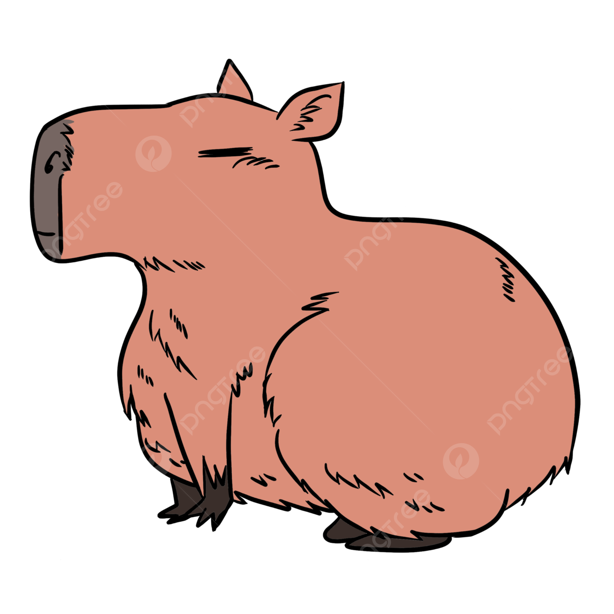 Capybara png transparent images free download vector files