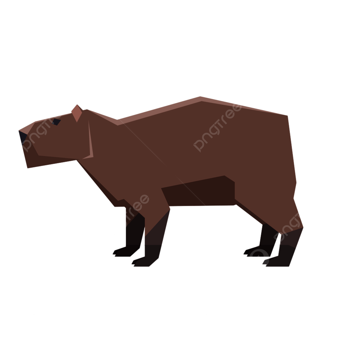 Capybara png transparent images free download vector files