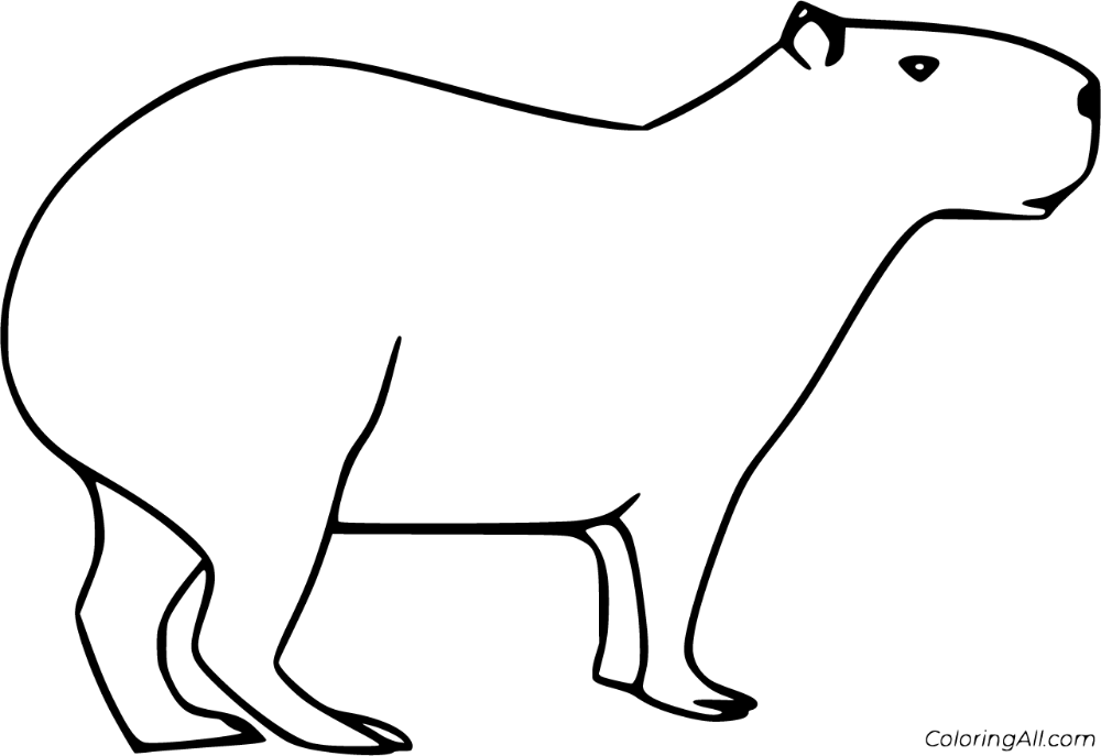 Free printable capybara coloring pages easy to print from any device and automatically fit any paper size capybara coloring pages easy drawings