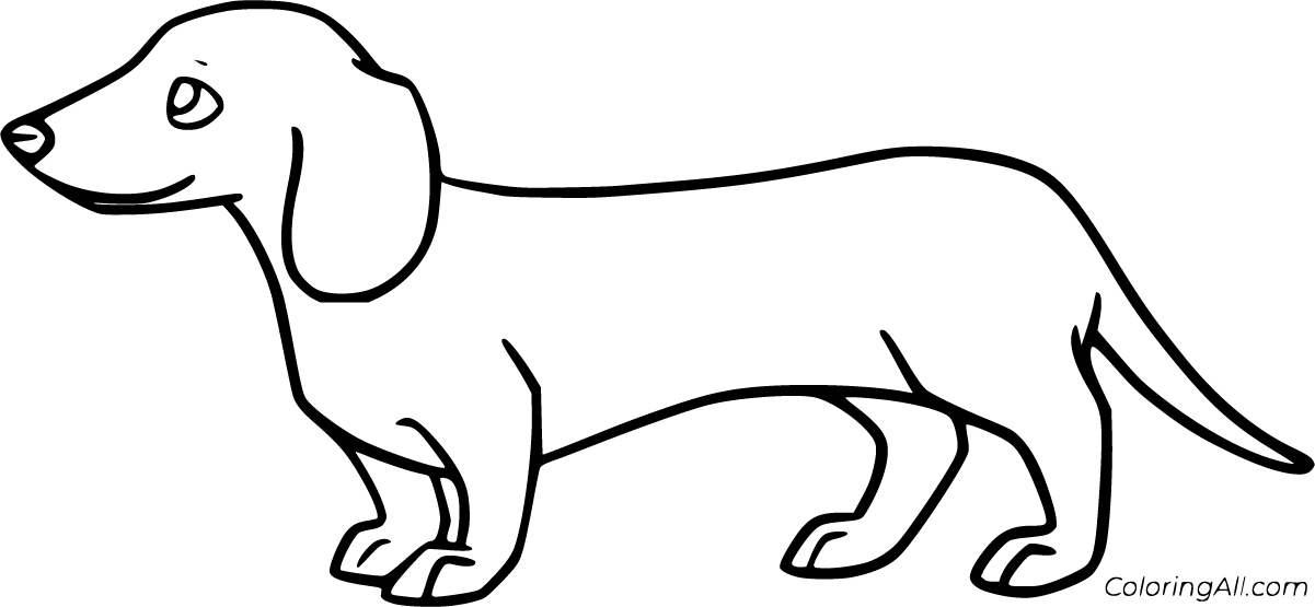 Adorable dachshund coloring pages