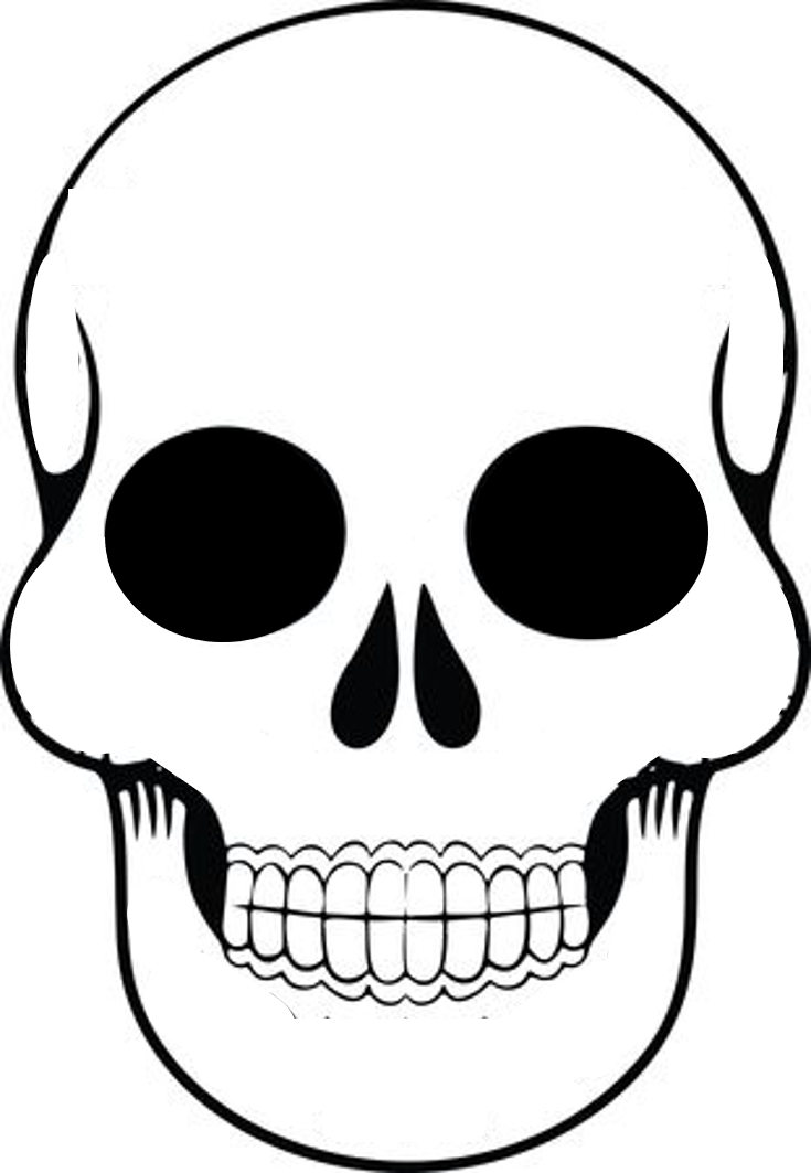 Blank sugar skull template