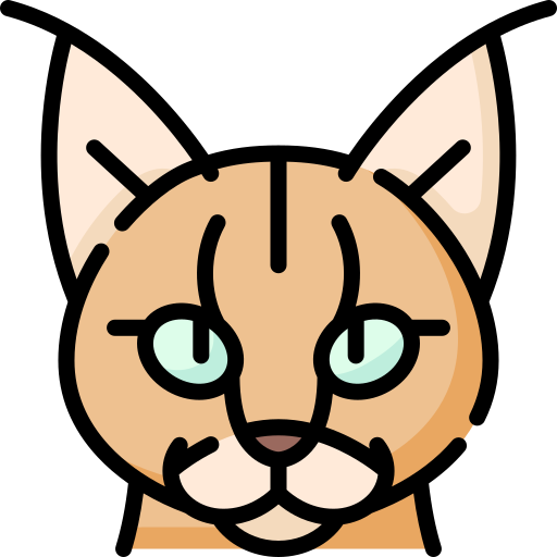 Caracal