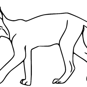 Lynx coloring pages printable for free download