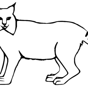 Lynx coloring pages printable for free download