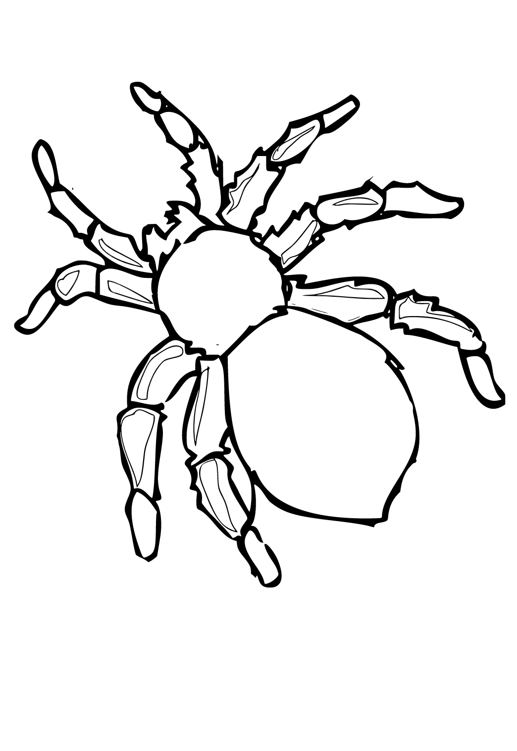 Desenho e imagem aranha contorno para colorir e imprimir grãtis para adultos e crianãas meninas e meninos