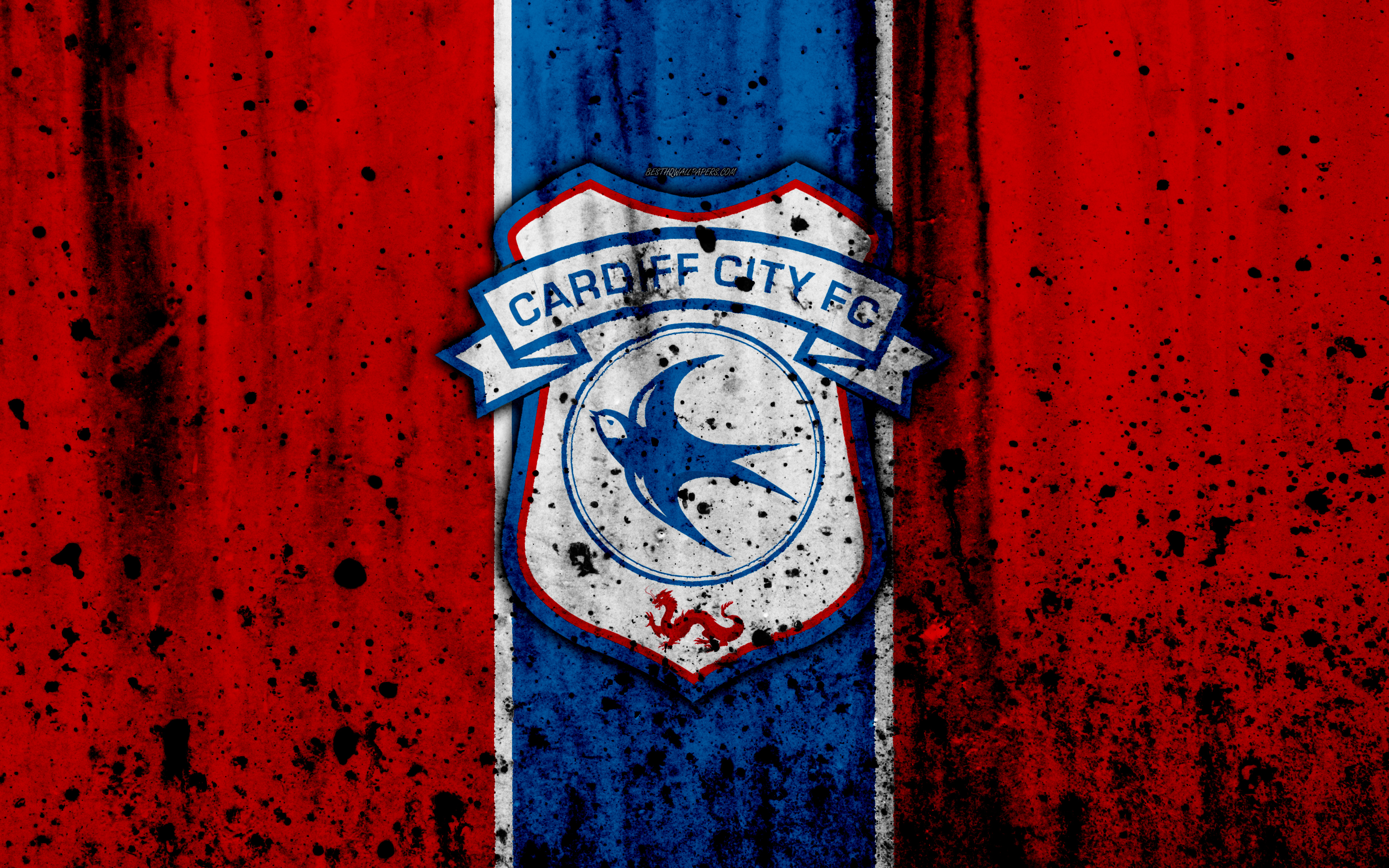 Free download Cardiff City Football Forum Cardiff City FC Messageboard View  [1024x576] for your Desktop, Mobile & Tablet, Explore 12+ Cardiff City F.C.  Wallpapers