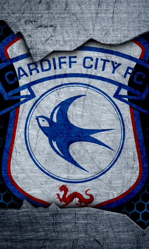 Cardiff City FC on X: #CityAsOne  Our updated #CardiffCity 2016/17  @SkyBetChamp fixture wallpaper. #Bluebirds  / X