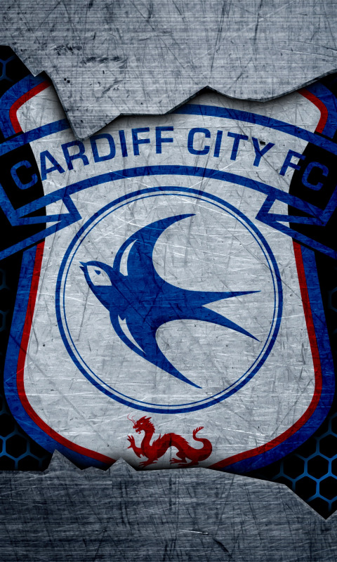 Download Free 100 + cardiff city wallpaper