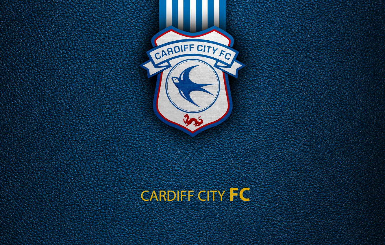 Wallpaper wallpaper sport logo football english premier league cardiff city images for desktop section ñððññ