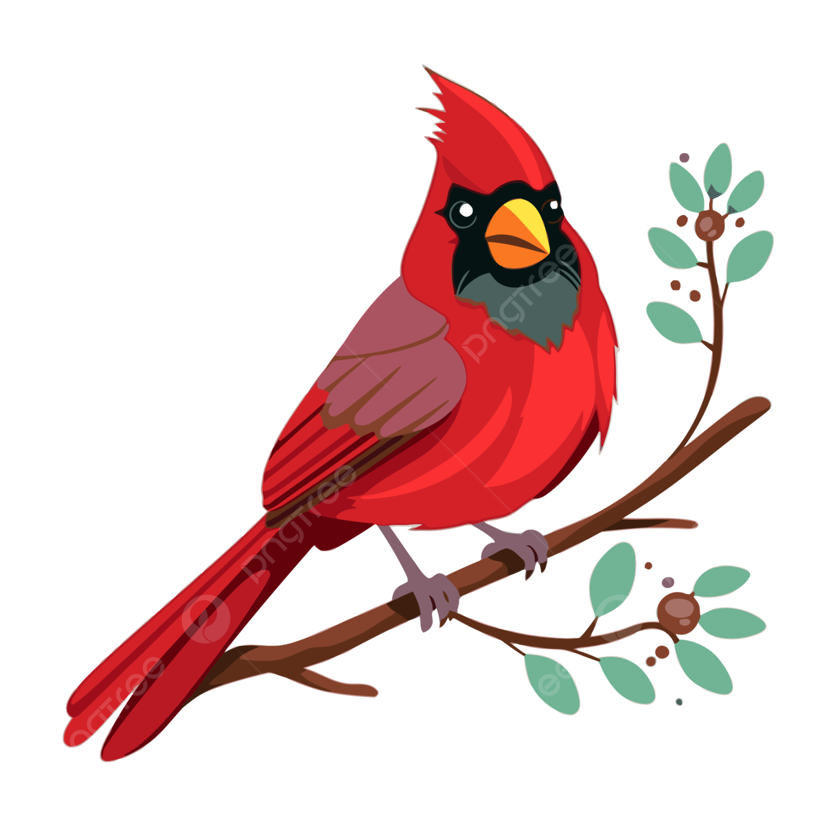 Cardinal white png vector psd and clipart with transparent background for free download