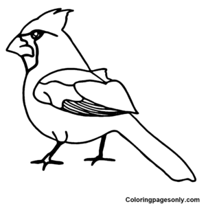 Cardinal coloring pages printable for free download