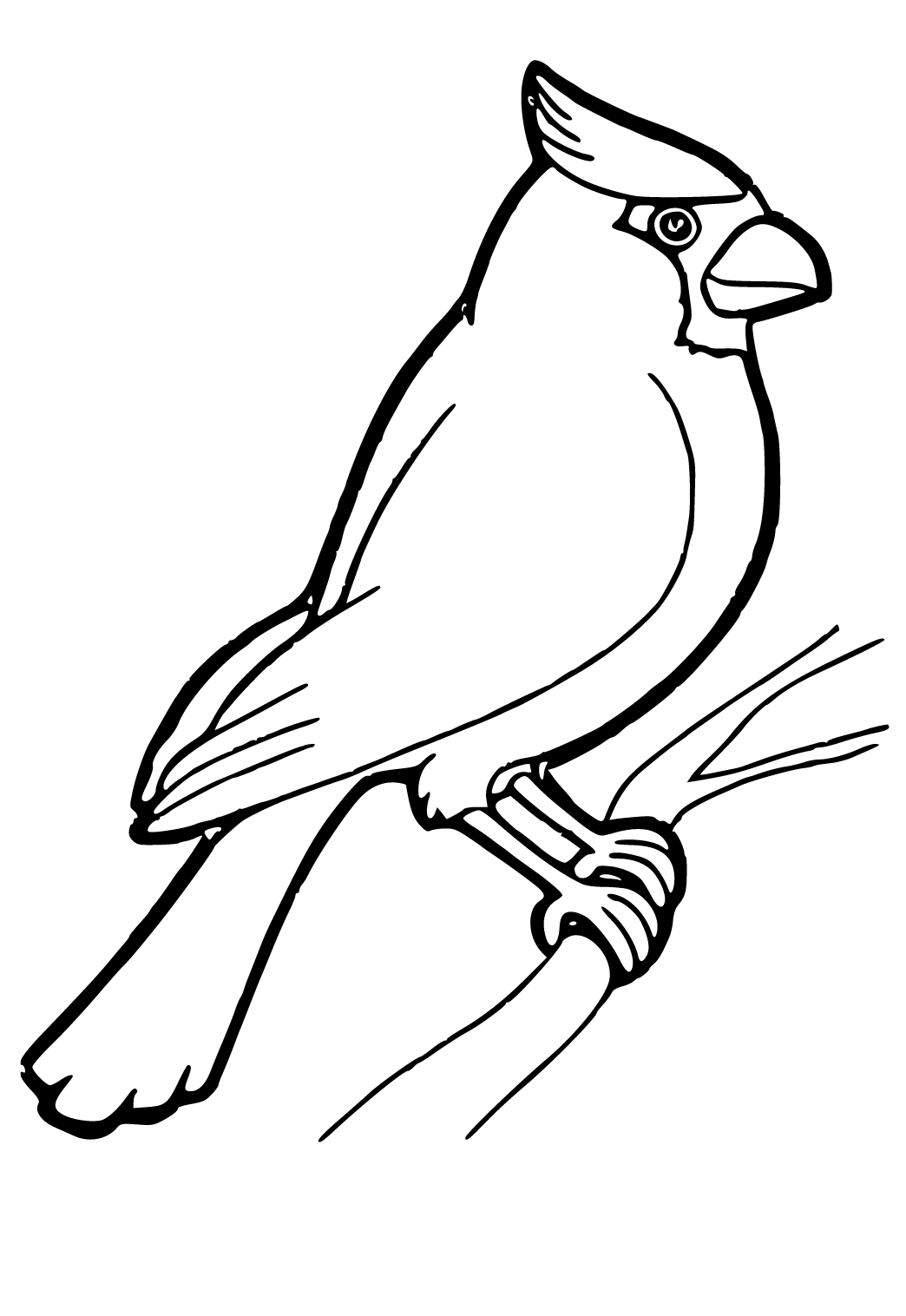 Free printable cardinal cute coloring page sheet and picture for adults and kids girls and boys