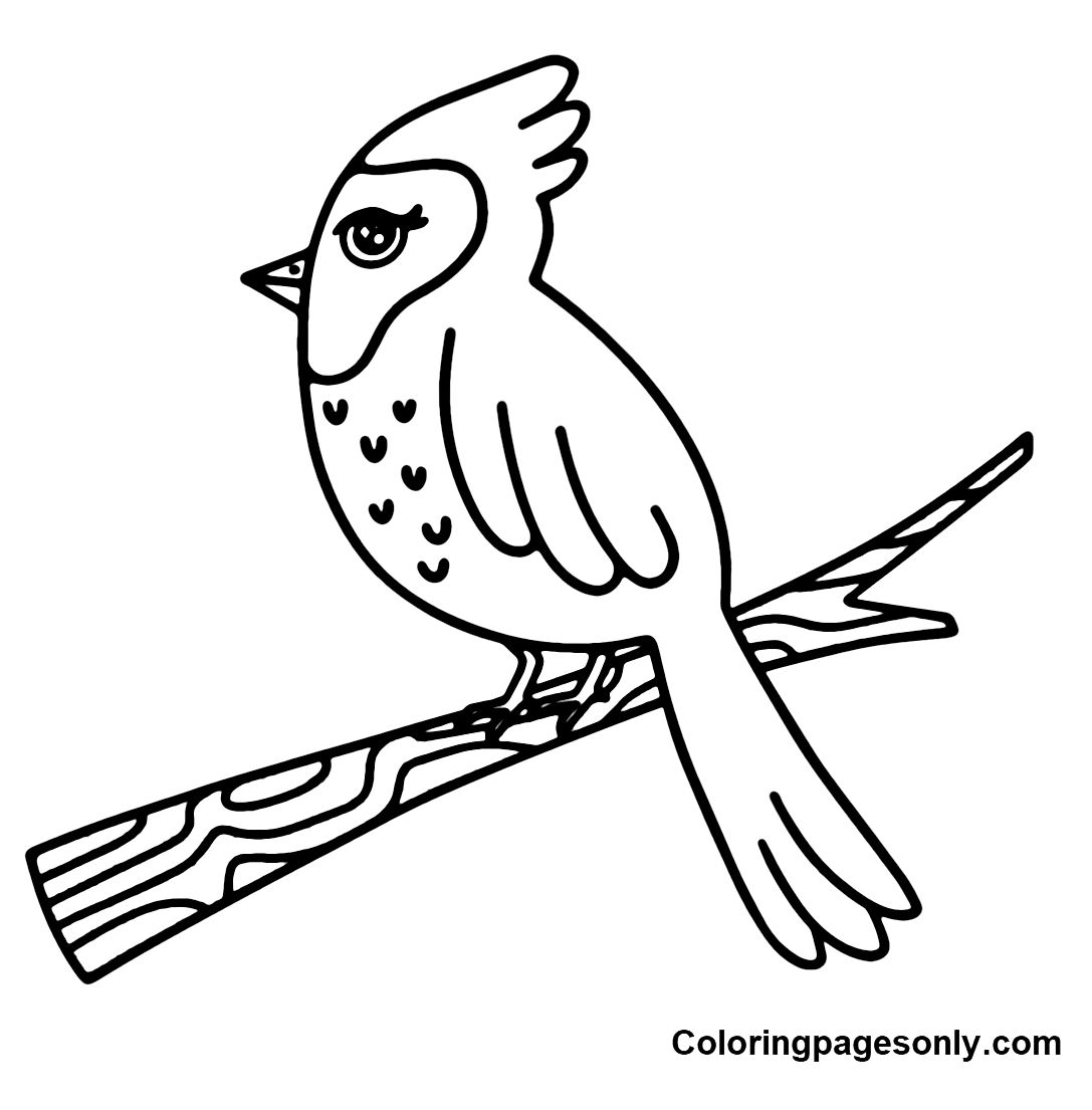 Cardinal coloring pages printable for free download